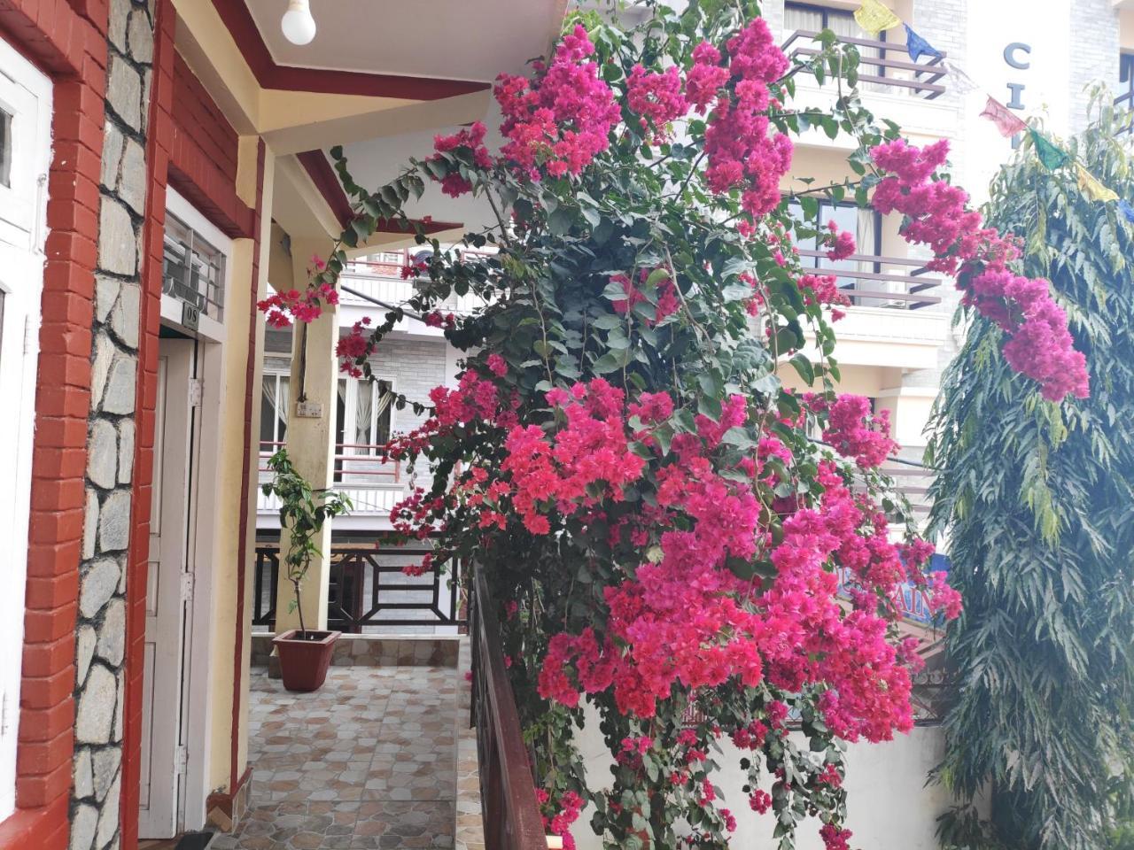 Hotel Angel Покхара Екстер'єр фото